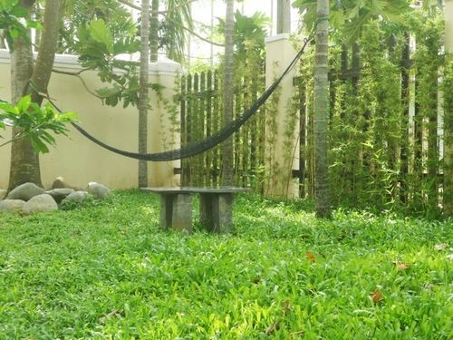 Lila Homestay Hoi An Exterior foto